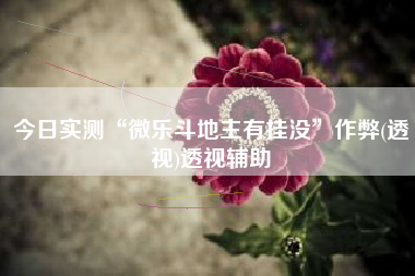 今日实测“微乐斗地主有挂没”作弊(透视)透视辅助