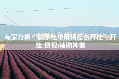 专家分析“微乐红中麻将怎么开挂”开挂(透视)辅助神器