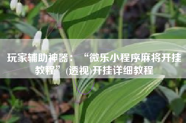 玩家辅助神器：“微乐小程序麻将开挂教程”(透视)开挂详细教程