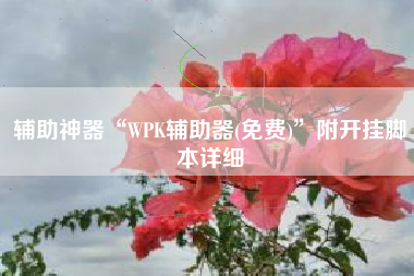 辅助神器“WPK辅助器(免费)”附开挂脚本详细