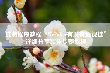 安装程序教程“WePoKer有没有透视挂”详细分享装挂步骤教程
