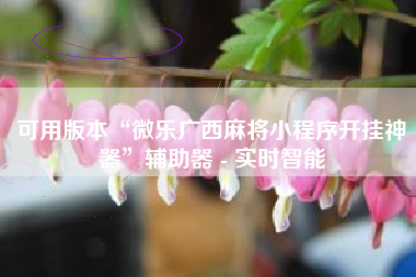 可用版本“微乐广西麻将小程序开挂神器”辅助器 - 实时智能