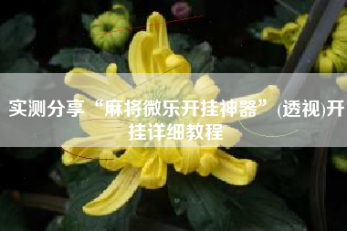实测分享“麻将微乐开挂神器”(透视)开挂详细教程