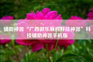 辅助神器“广西微乐麻将开挂神器	”科技辅助神器手机版