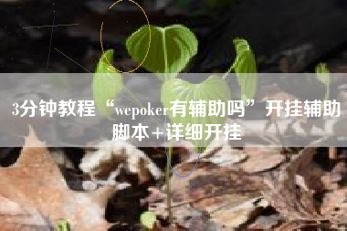 3分钟教程“wepoker有辅助吗	”开挂辅助脚本+详细开挂