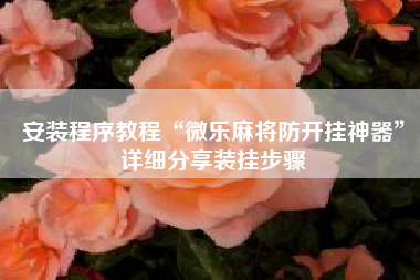 安装程序教程“微乐麻将防开挂神器	”详细分享装挂步骤