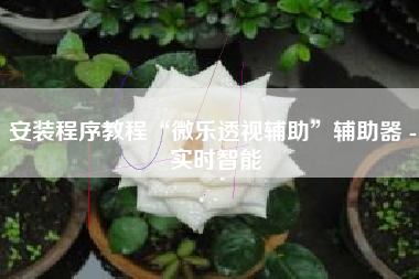 安装程序教程“微乐透视辅助”辅助器 - 实时智能