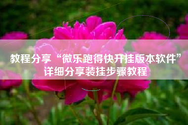 教程分享“微乐跑得快开挂版本软件”详细分享装挂步骤教程