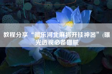 教程分享“微乐河北麻将开挂神器	”(曝光透视必备猫腻