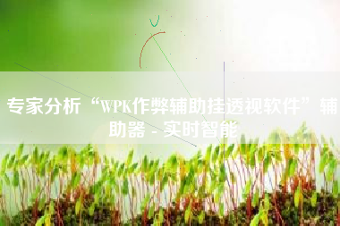 专家分析“WPK作弊辅助挂透视软件	”辅助器 - 实时智能