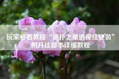 玩家必看教程“德扑之星透视挂安装”附开挂脚本详细教程