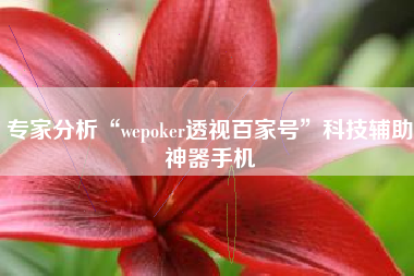 专家分析“wepoker透视百家号”科技辅助神器手机