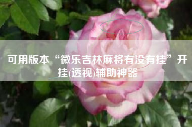 可用版本“微乐吉林麻将有没有挂	”开挂(透视)辅助神器