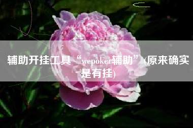 辅助开挂工具“wepoker辅助”(原来确实是有挂)