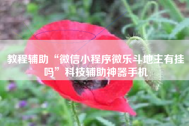 教程辅助“微信小程序微乐斗地主有挂吗”科技辅助神器手机