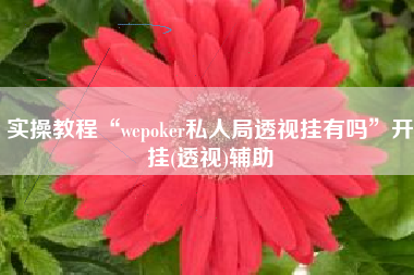 实操教程“wepoker私人局透视挂有吗”开挂(透视)辅助