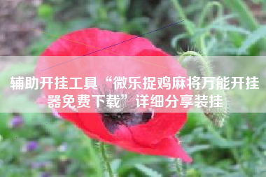 辅助开挂工具“微乐捉鸡麻将万能开挂器免费下载”详细分享装挂