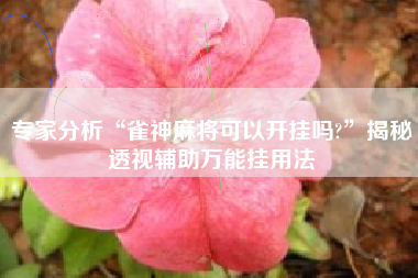 专家分析“雀神麻将可以开挂吗?”揭秘透视辅助万能挂用法