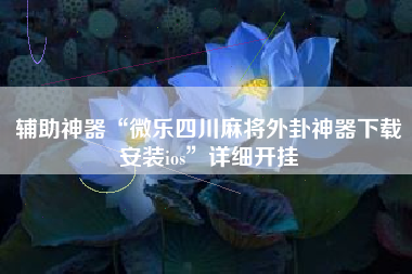 辅助神器“微乐四川麻将外卦神器下载安装ios”详细开挂