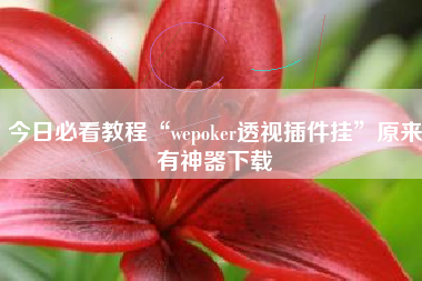 今日必看教程“wepoker透视插件挂”原来有神器下载