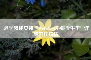必学教你安装“WePoker透视插件挂”详细开挂玩法