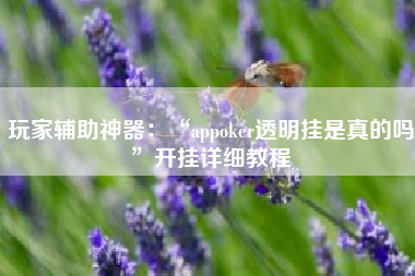 玩家辅助神器：“appoker透明挂是真的吗”开挂详细教程