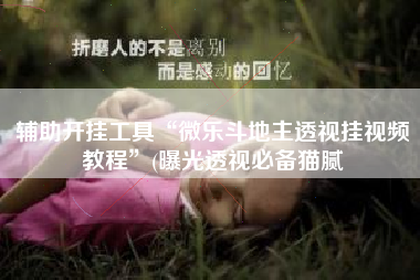 辅助开挂工具“微乐斗地主透视挂视频教程”(曝光透视必备猫腻