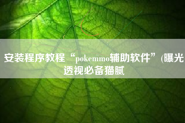 安装程序教程“pokemmo辅助软件”(曝光透视必备猫腻