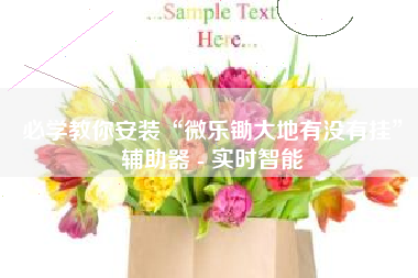 必学教你安装“微乐锄大地有没有挂	”辅助器 - 实时智能
