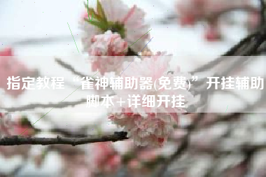 指定教程“雀神辅助器(免费)”开挂辅助脚本+详细开挂