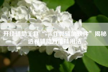 开挂辅助工具“wpk作弊辅助软件”揭秘透视辅助万能挂用法