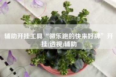 辅助开挂工具“微乐跑的快来好牌	”开挂(透视)辅助
