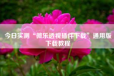 今日实测“微乐透视插件下载	”通用版下载教程