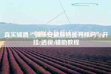 真实辅助“微乐安徽麻将能开挂吗”开挂(透视)辅助教程