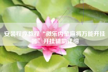 安装程序教程“微乐内蒙麻将万能开挂器”开挂辅助详细