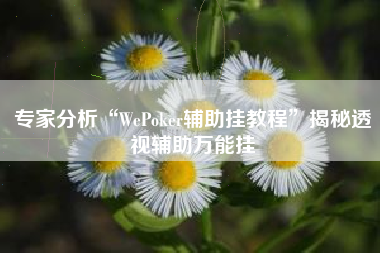 专家分析“WePoker辅助挂教程”揭秘透视辅助万能挂