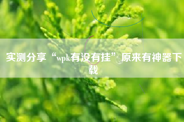 实测分享“wpk有没有挂	”原来有神器下载