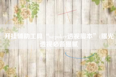 开挂辅助工具“wepoker透视脚本”(曝光透视必备猫腻