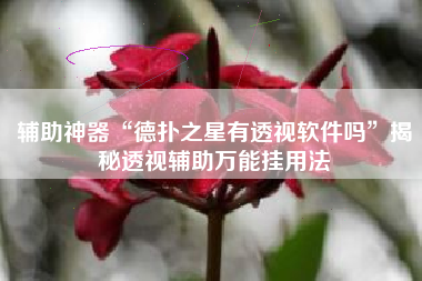 辅助神器“德扑之星有透视软件吗”揭秘透视辅助万能挂用法