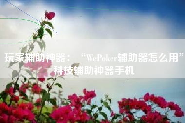 玩家辅助神器：“WePoker辅助器怎么用”科技辅助神器手机