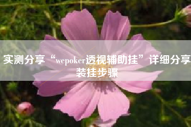 实测分享“wepoker透视辅助挂	”详细分享装挂步骤