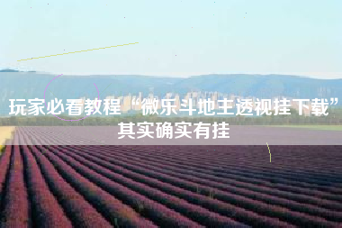 玩家必看教程“微乐斗地主透视挂下载”其实确实有挂