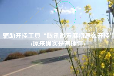 辅助开挂工具“腾讯微乐麻将怎么开挂”(原来确实是有插件)