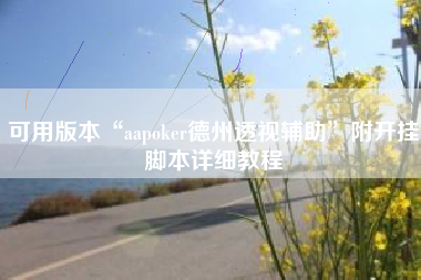 可用版本“aapoker德州透视辅助”附开挂脚本详细教程