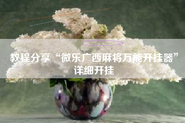 教程分享“微乐广西麻将万能开挂器”详细开挂