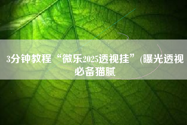 3分钟教程“微乐2025透视挂”(曝光透视必备猫腻