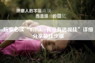 玩家必读“WePoKer有没有透视挂”详细分享装挂步骤
