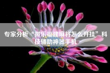 专家分析“微乐福建麻将怎么开挂	”科技辅助神器手机