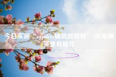 今日实测“wepoker辅助器教程	”(原来确实是有插件