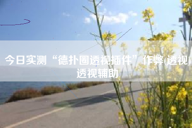 今日实测“德扑圈透视插件”作弊(透视)透视辅助